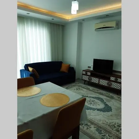 Vivamus 1+1 * 알란야